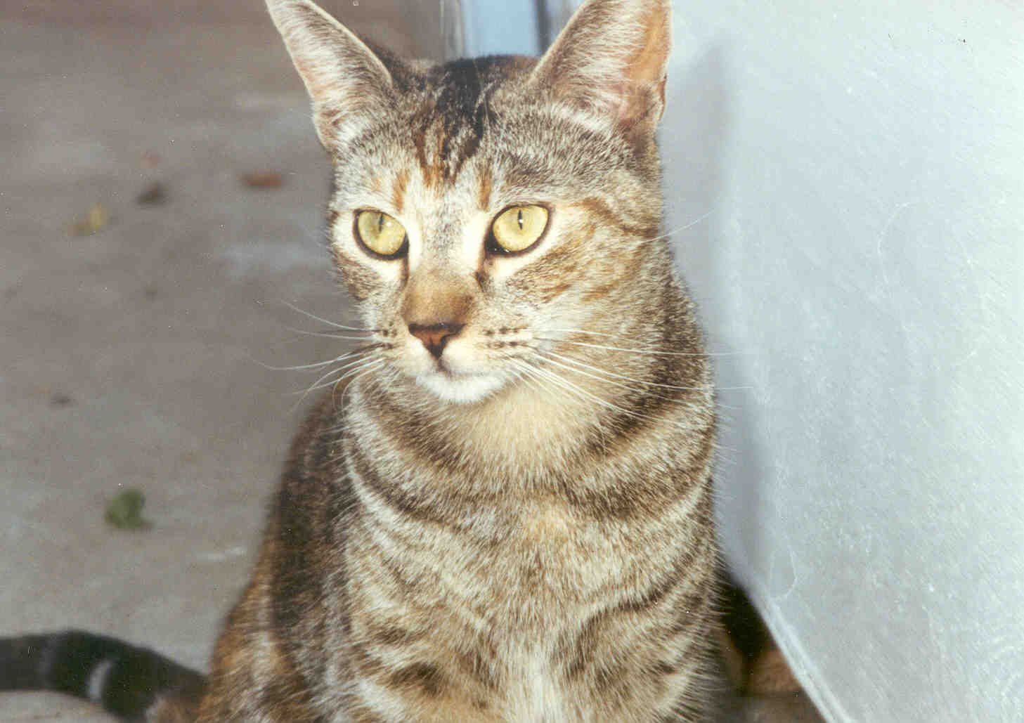 1989